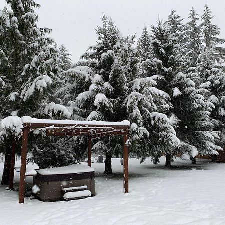 Вилла Bear'S Den Hideaway With Hot Tub Эшфорд Экстерьер фото
