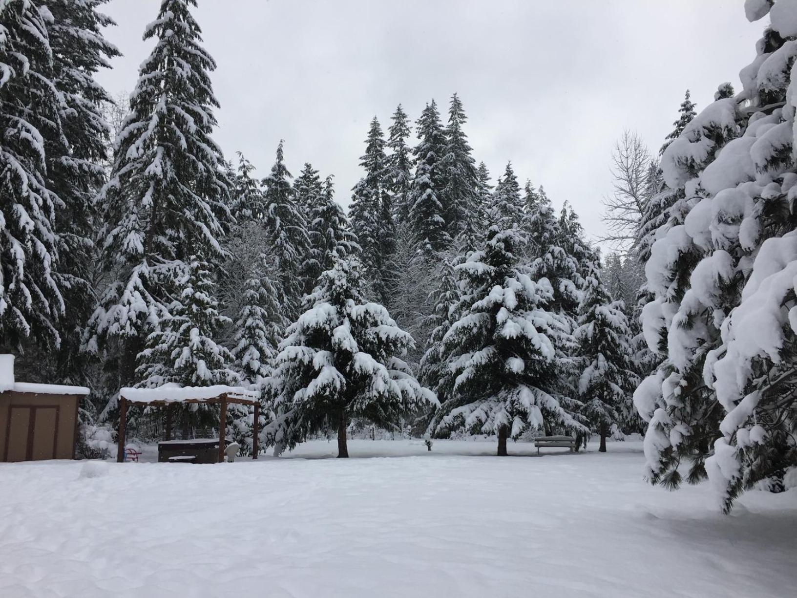 Вилла Bear'S Den Hideaway With Hot Tub Эшфорд Экстерьер фото